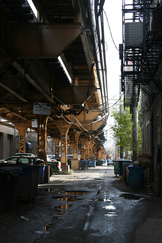 Beauvoir in love - La banlieue de Chicago, le monde de Nelson - Photo 3